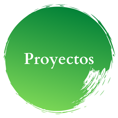 Consulta los reportes y documentos de algunos de los proyectos que hemos realizado